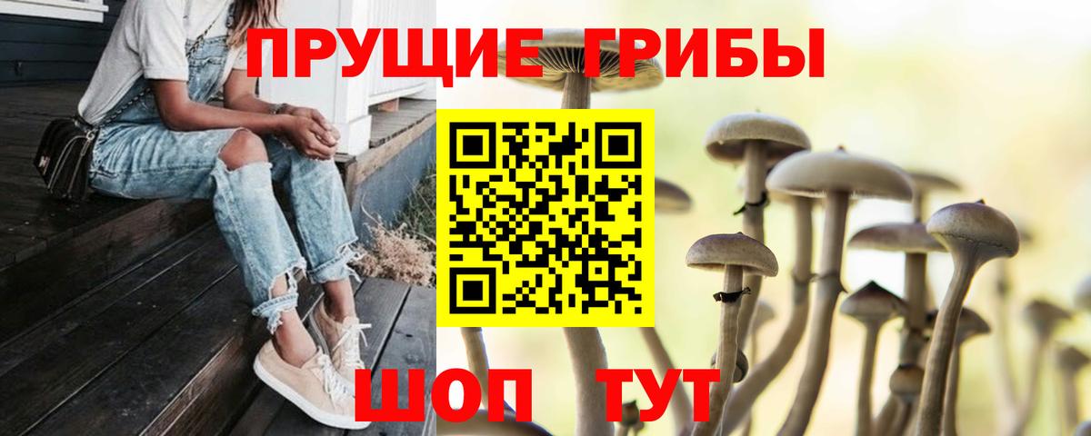 Галлюциногенные грибы Magic Shrooms Зима