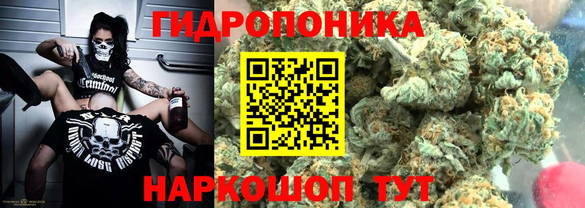 Зима  Конопля VHQ  Вход с VPN  Бошки Шишки White Widow 